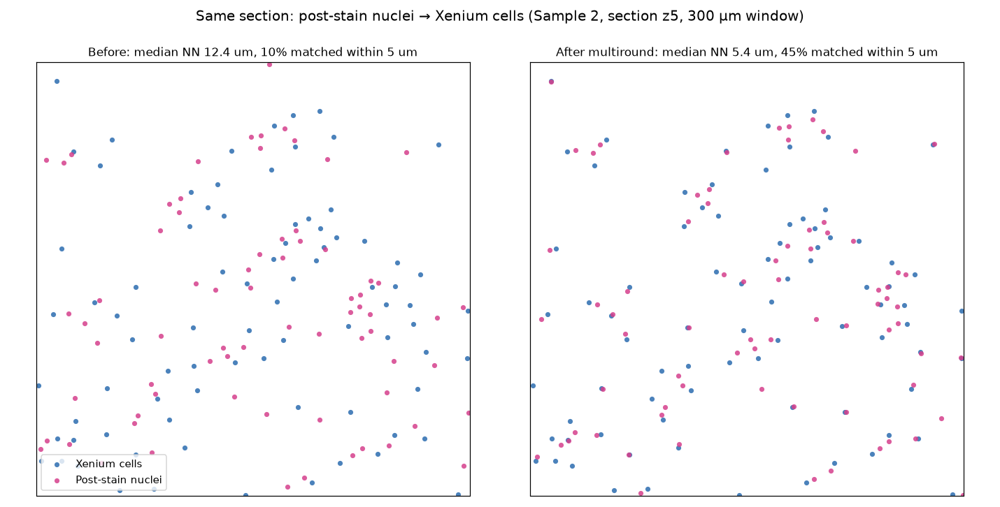 Post-stain nuclei registered onto Xenium cells, before and after