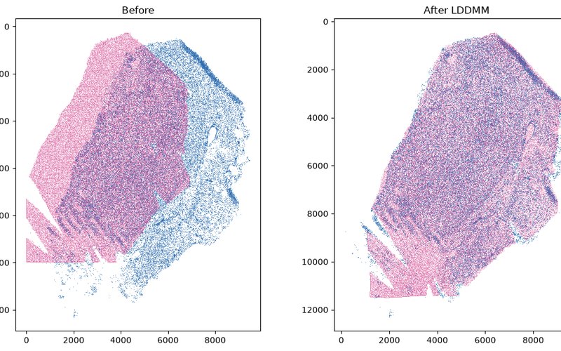 MALDI pixels registered onto Xenium cells with STalign LDDMM