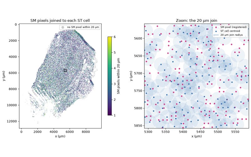ST cells coloured by the number of SM pixels joined to each